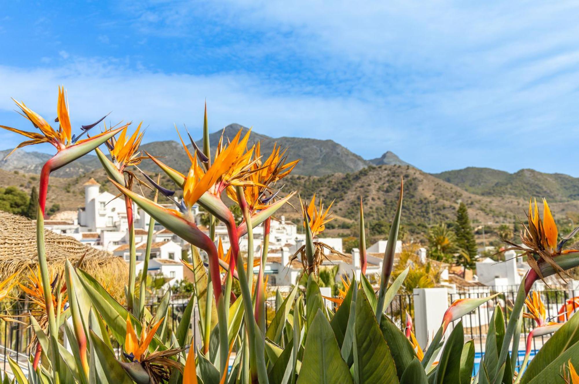 Lägenhet Palmas 20c - Oasis Nerja